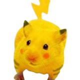 PiKaq