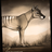 thylacine