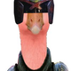 PinkGoose